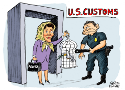 PELOSI GOES HOME -  by Christo Komarnitski