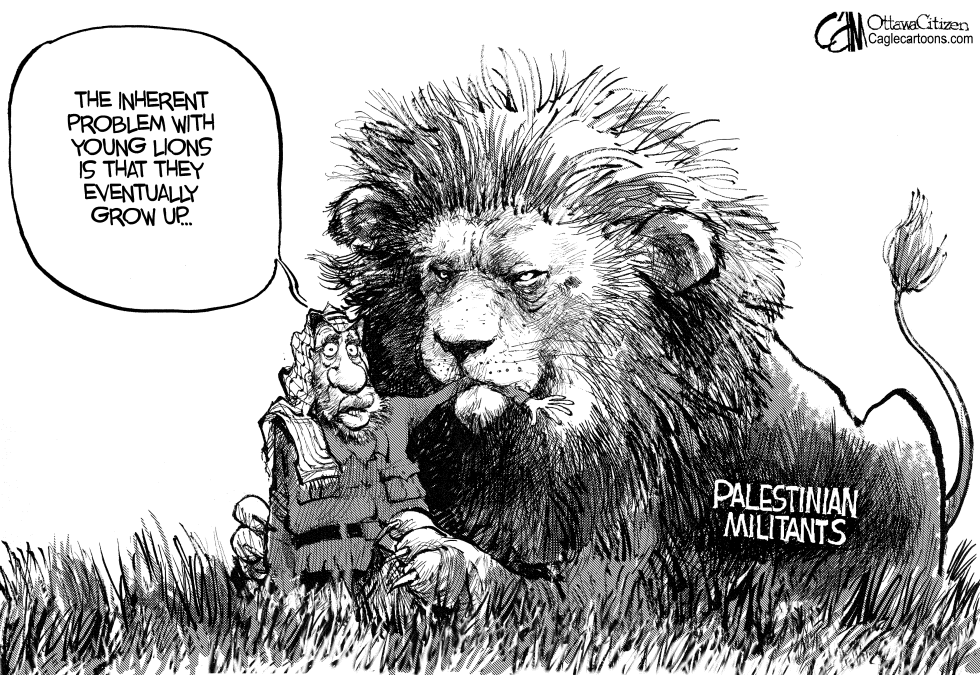 Young Lions