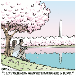 SUBPOENAS IN BLOOM by R.J. Matson