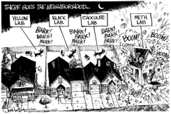 METH LABS by Joe Heller