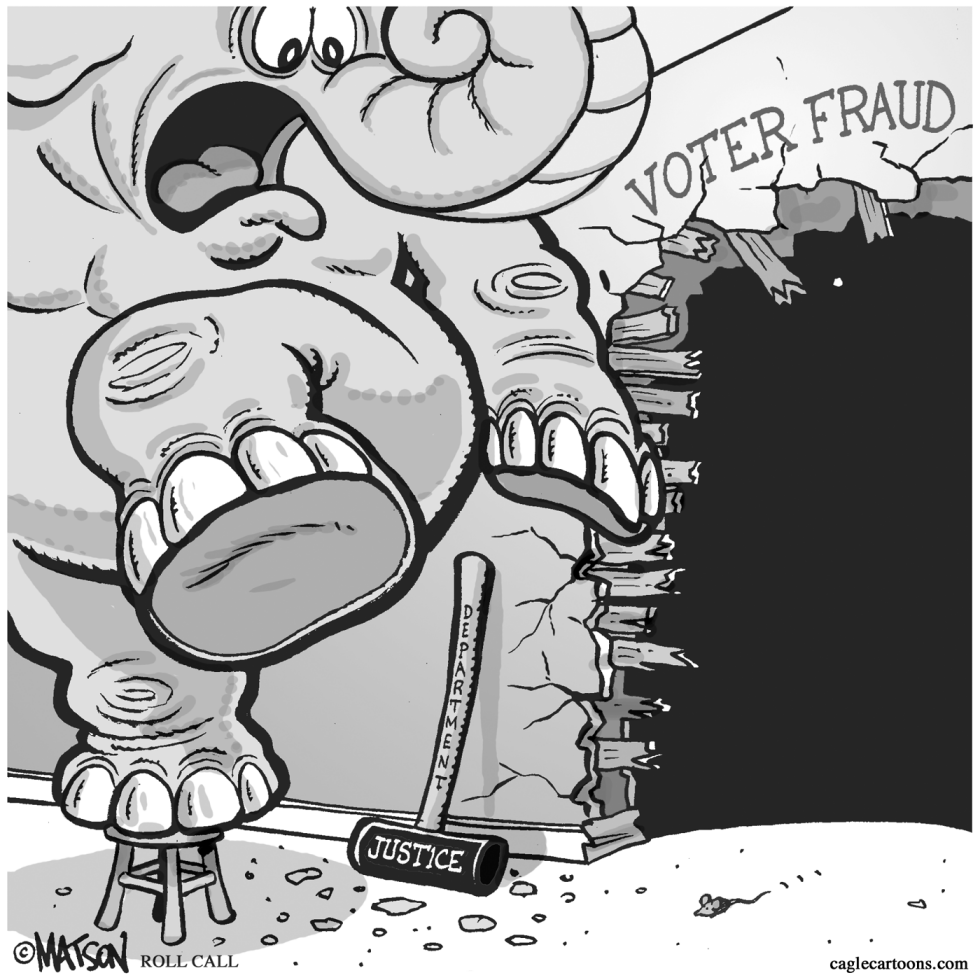 Who's Afraid Of Voter Fraud?