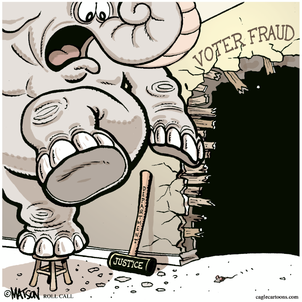 Who's Afraid Of Voter Fraud?-COLOR