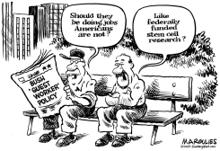 STEM CELL RESEARCH by Jimmy Margulies