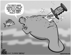 LOCAL FL MANATEES GET IT IN THE BACK AGAIN by Jeff Parker