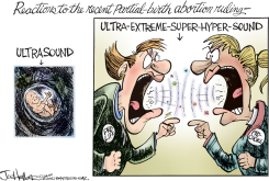 PARTIAL-BIRTH ABORTION RULING by Joe Heller