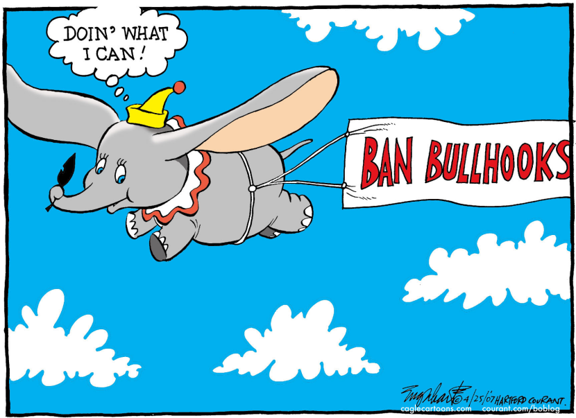 Bullhooks COLOR