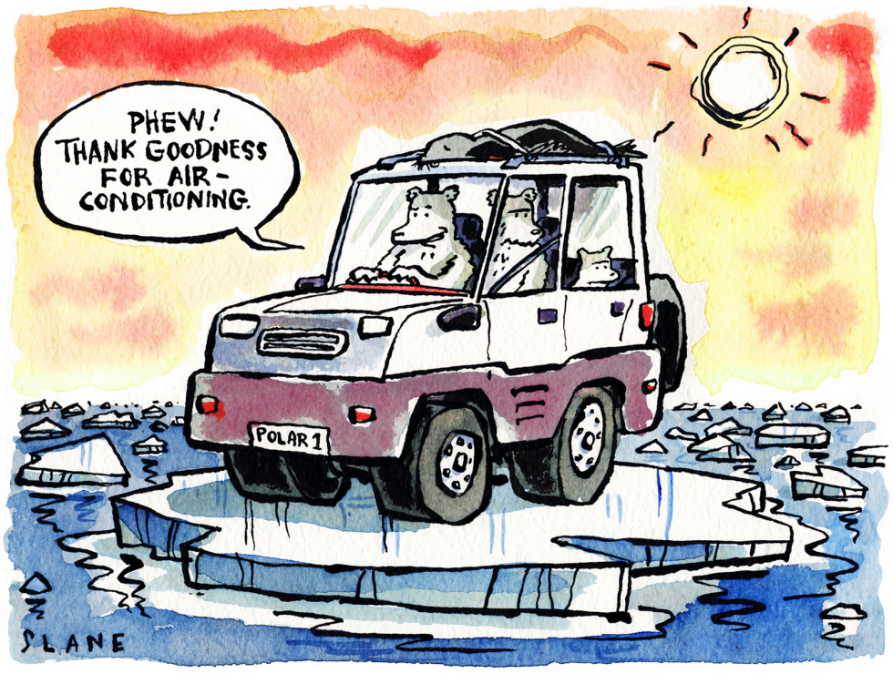 Polar Bears Driving -- color