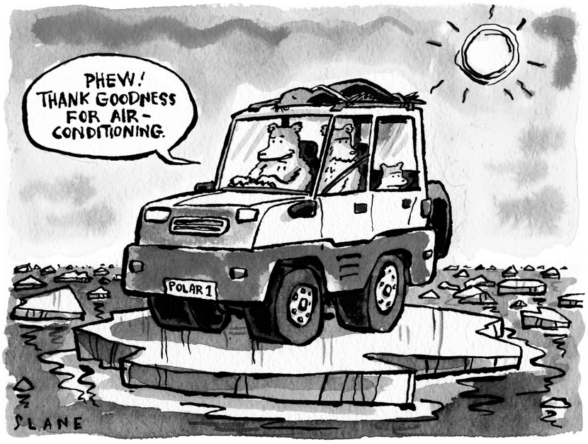 Polar Bears Driving Greyscale