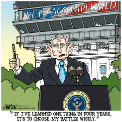VETO ACCOMPLISHED by R.J. Matson