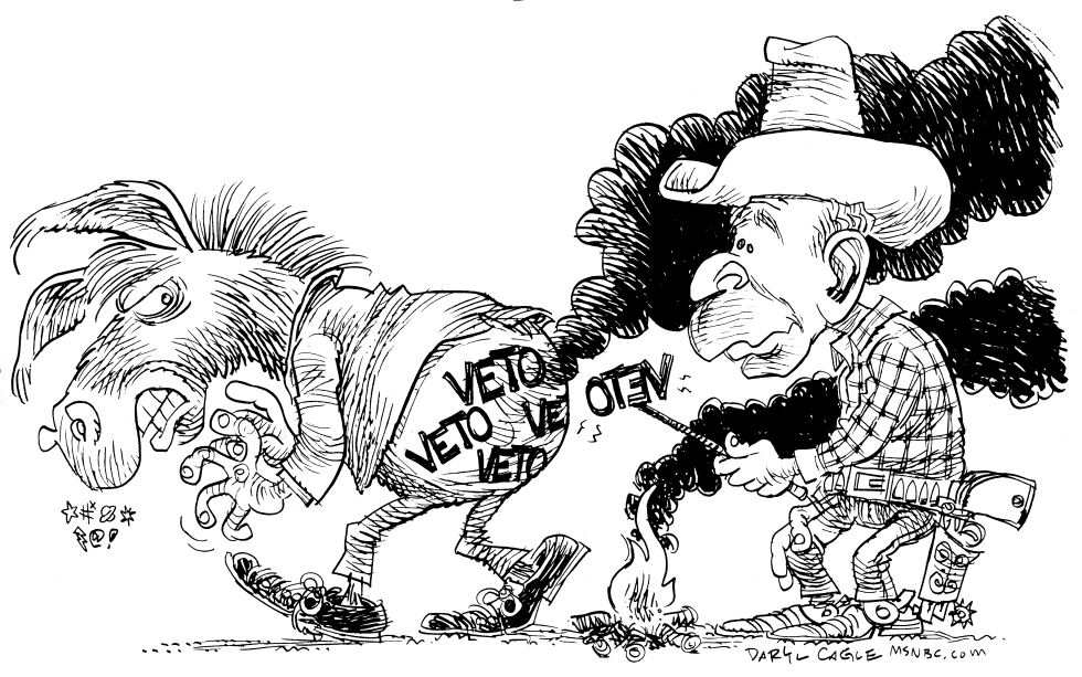 Bush and Vetos