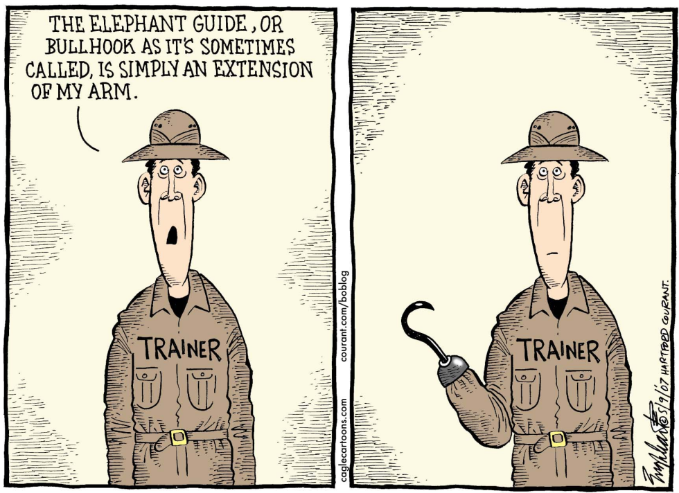 Elephant Bullhooks Color