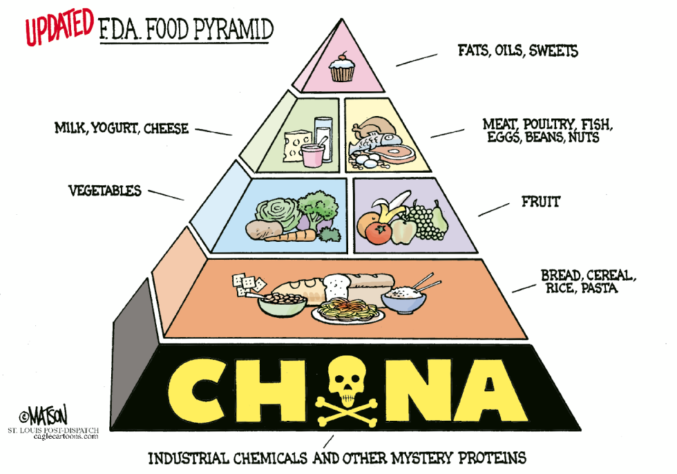 Updated FDA Food Pyramid-COLOR