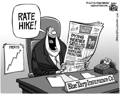 LOCAL FL/COASTAL ANY EXCUSE by Jeff Parker