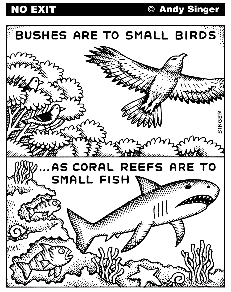 Birds and Bushes like Fish and Coral Reefs