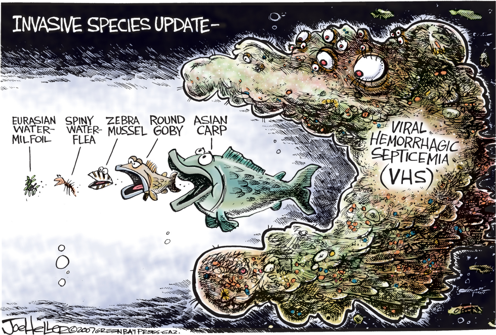 Great Lakes invasive species