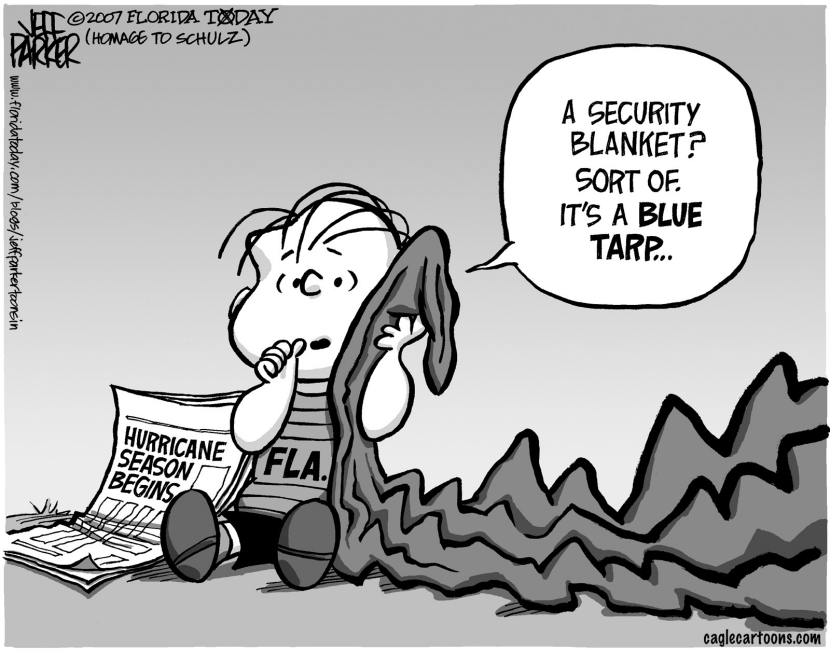 LOCAL FL/COASTAL Security Tarp