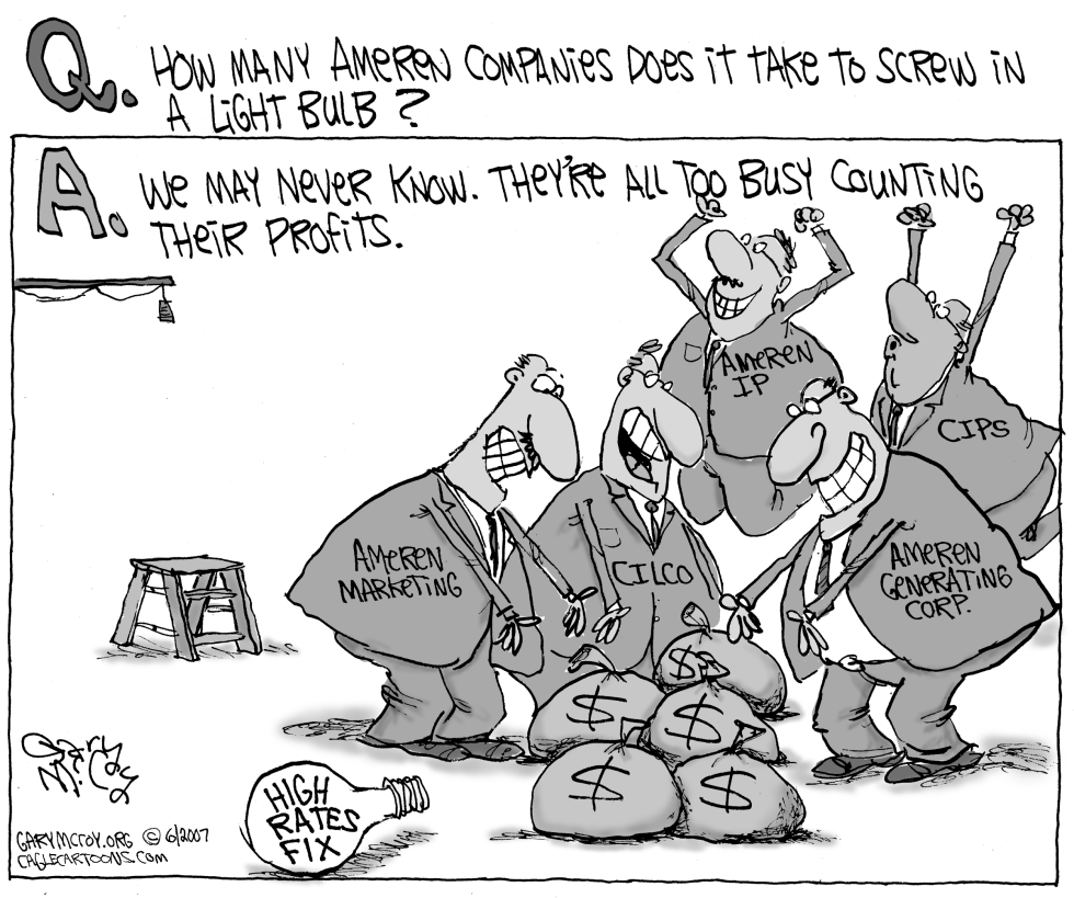 LOCAL IL-MO Ameren Profits