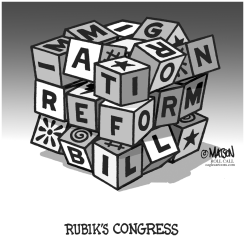 RUBIK'S CONGRESS by R.J. Matson