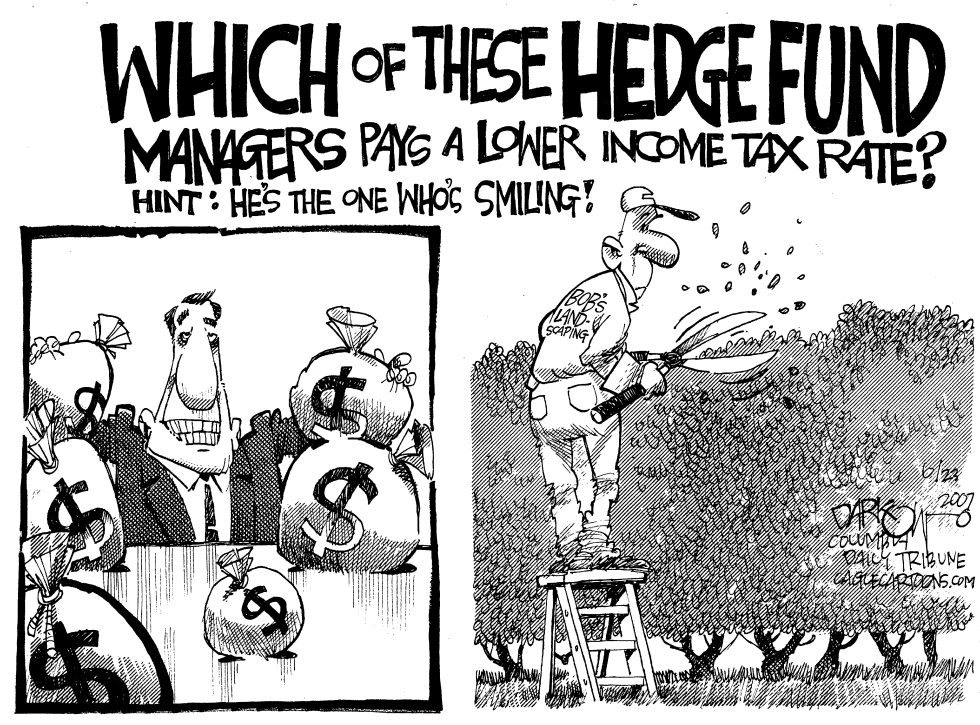 Hedge Hogs