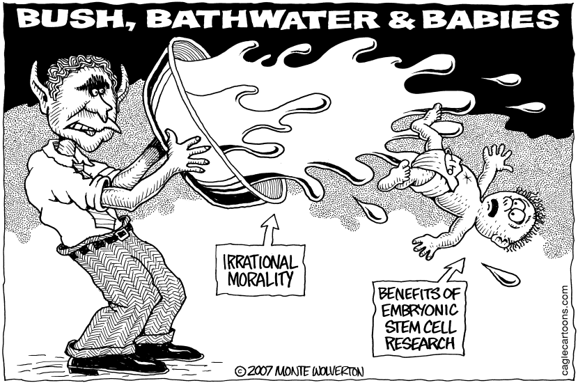 Bush Bathwater and Babies