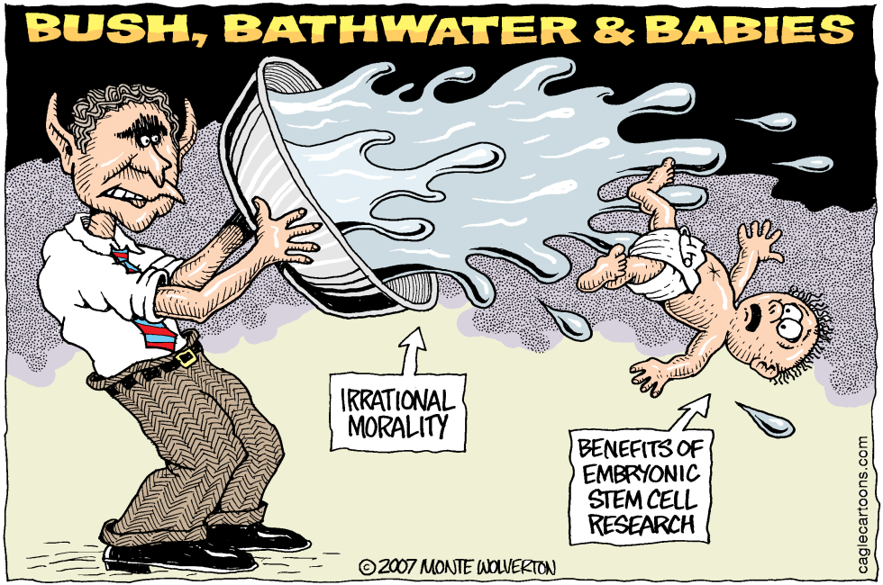 Bush Bathwater and Babies -- COLOR