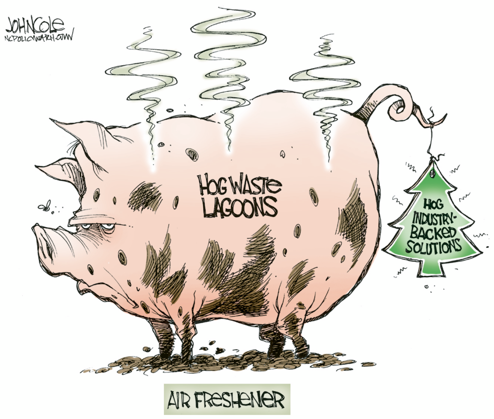 Hog waste lagoons -- color