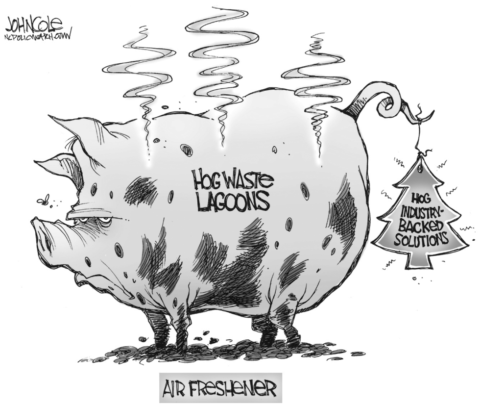 Hog waste lagoons