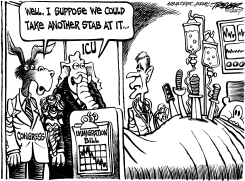IMMIGRATION RERUN by John Trever