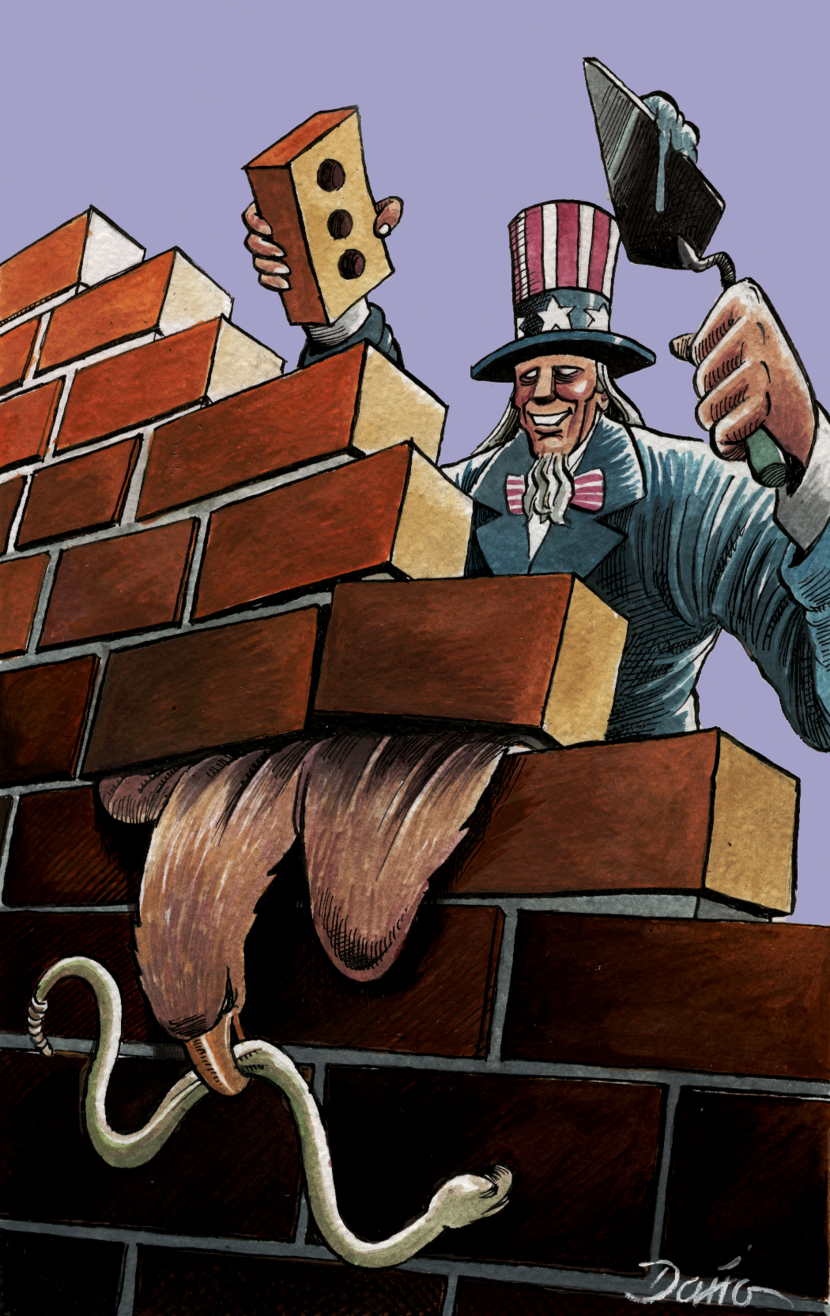 Border Wall