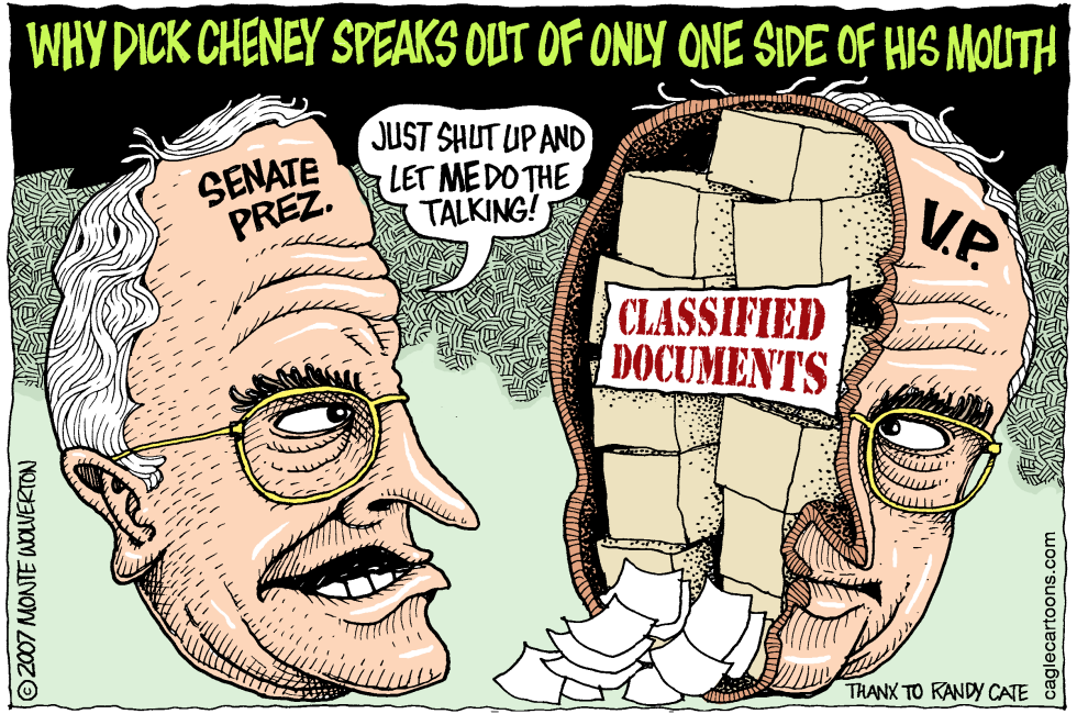 Split Cheney -- COLOR