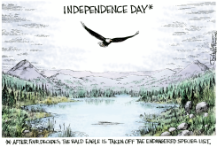INDEPENDENCE DAY by Joe Heller