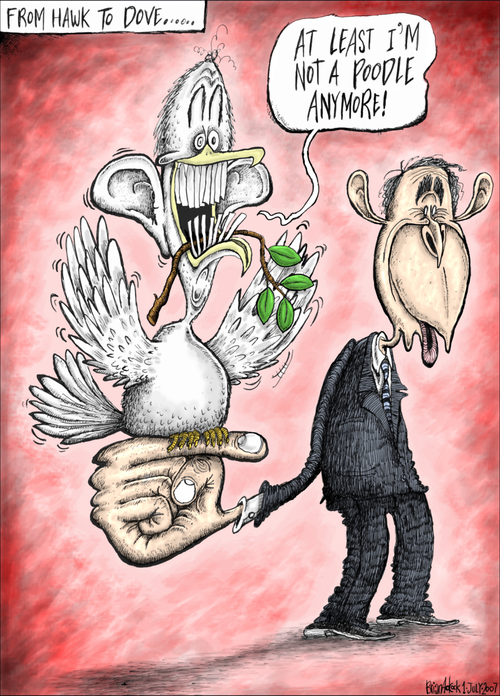 Hawk to Dove