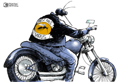 WEST NILE BIKER  by Cam Cardow