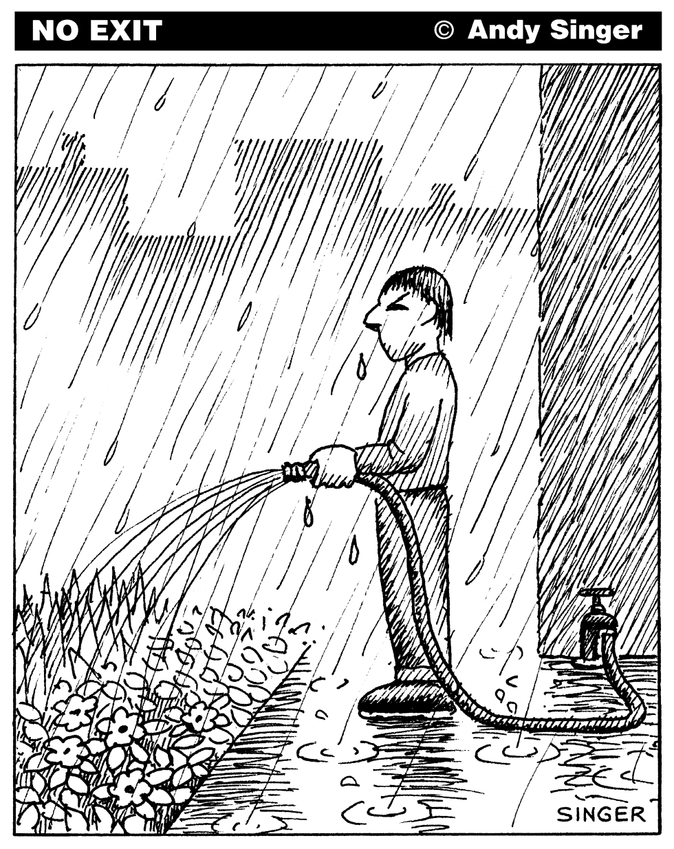 Watering in the Rain