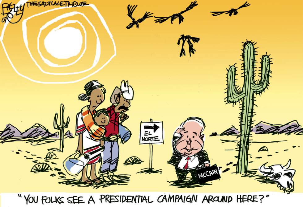 McCain Campaign COLOR