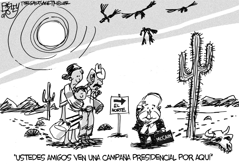 La Campaña de McCain