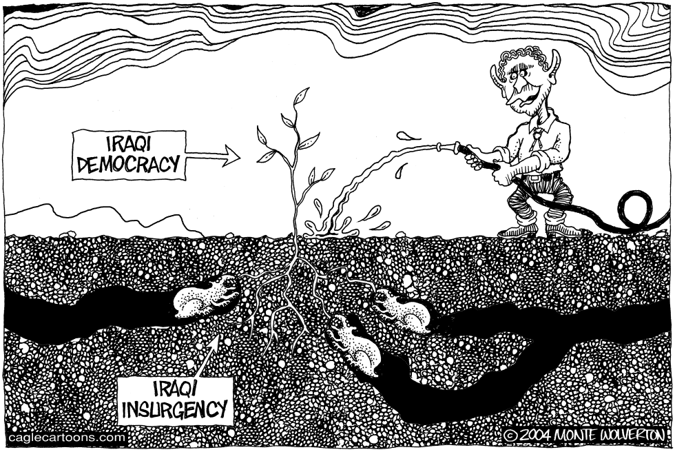 Fragile Iraqi democracy