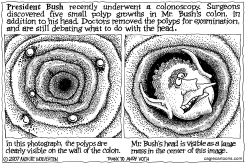 THE PRESIDENTIAL COLON by Monte Wolverton