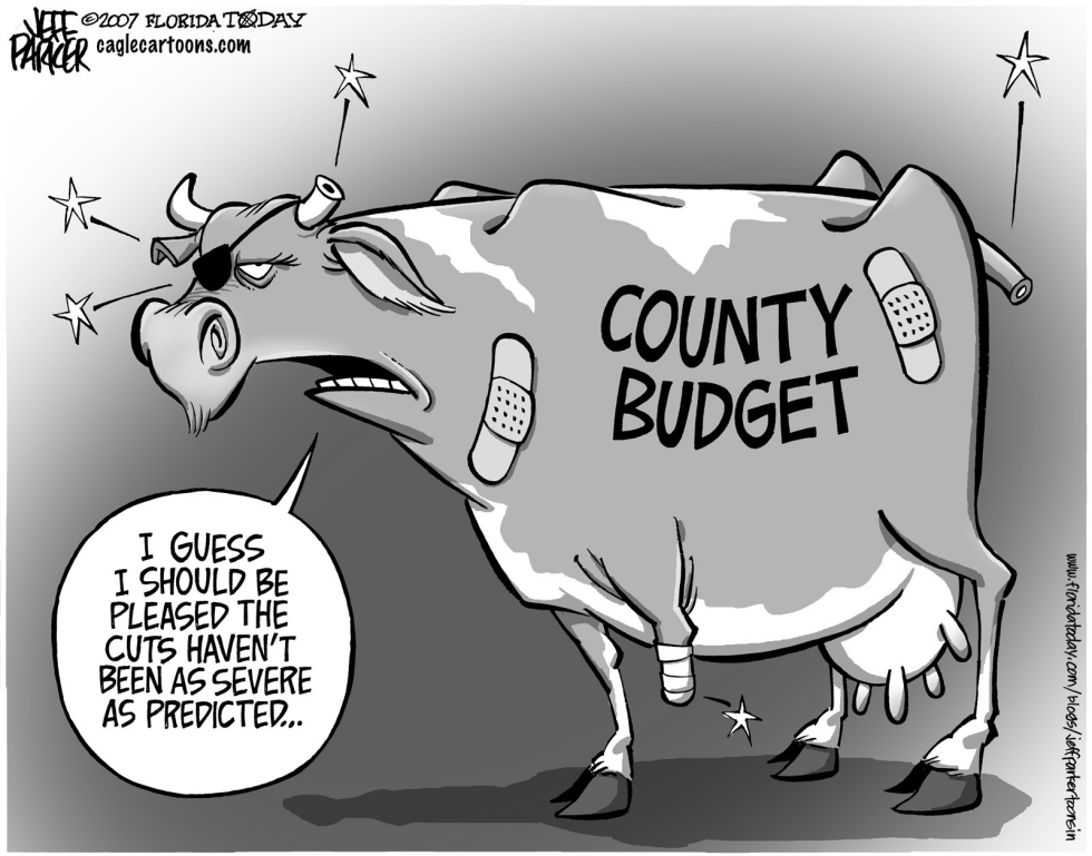 LOCAL FL Budget Cow