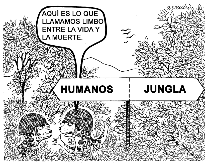 Animales y humanos