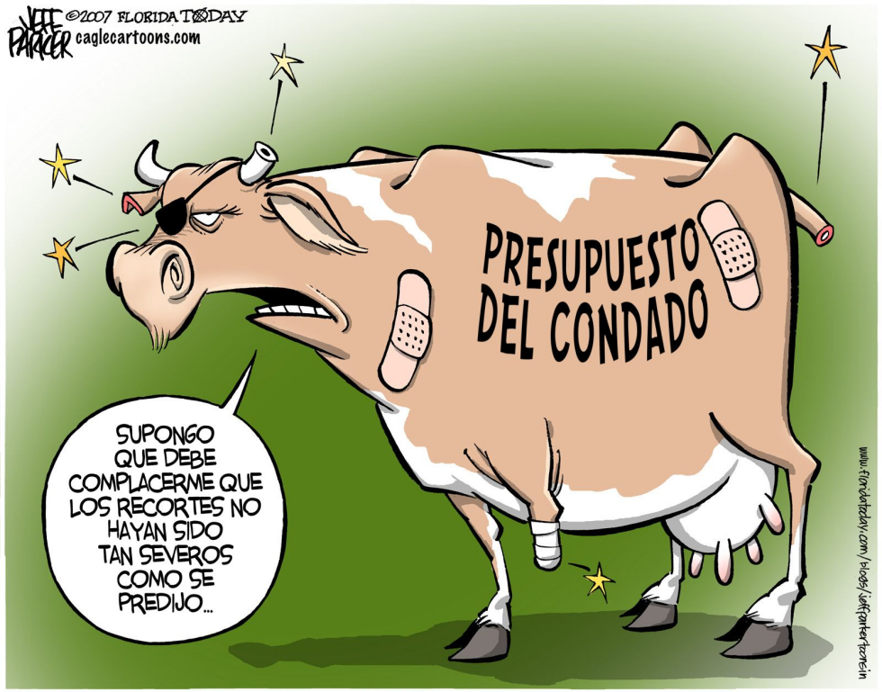 Vaca del Presupuesto / COLOR