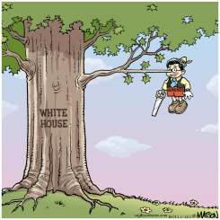 PINOCCHIO GONZALES by R.J. Matson