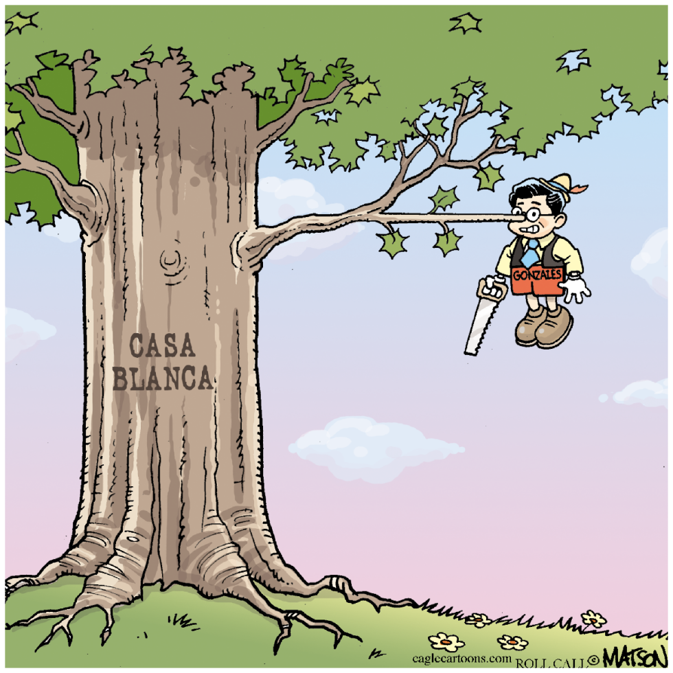 Pinocho Gonzales / COLOR