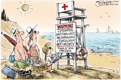 DIRTY BEACHES by Joe Heller
