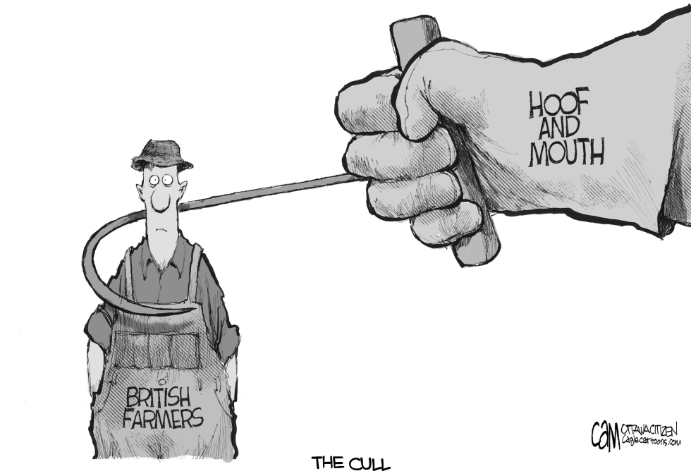 The Cull