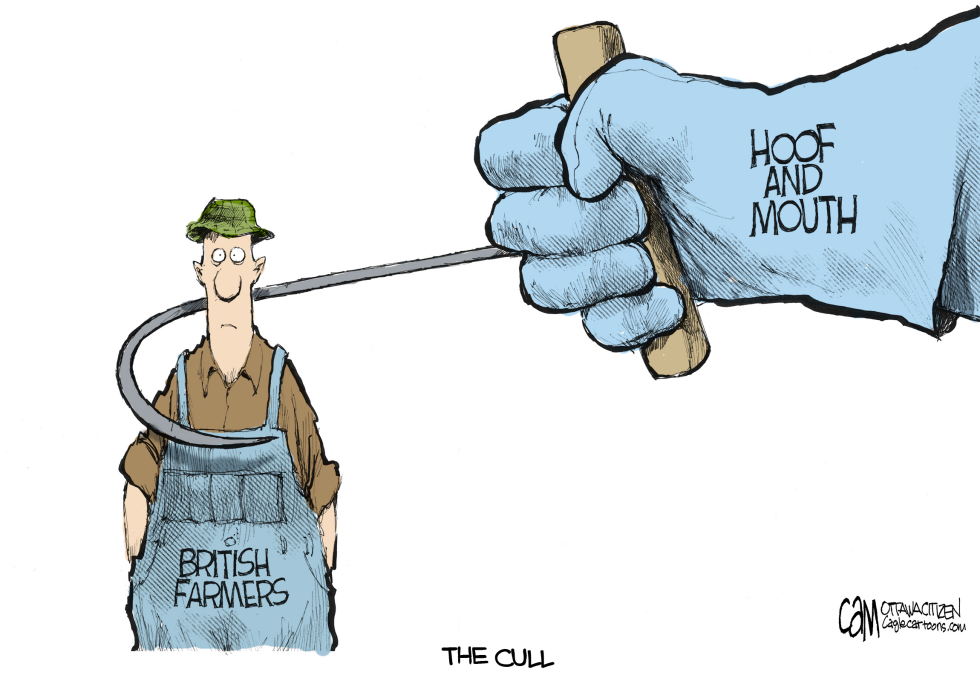 The Cull COLOR