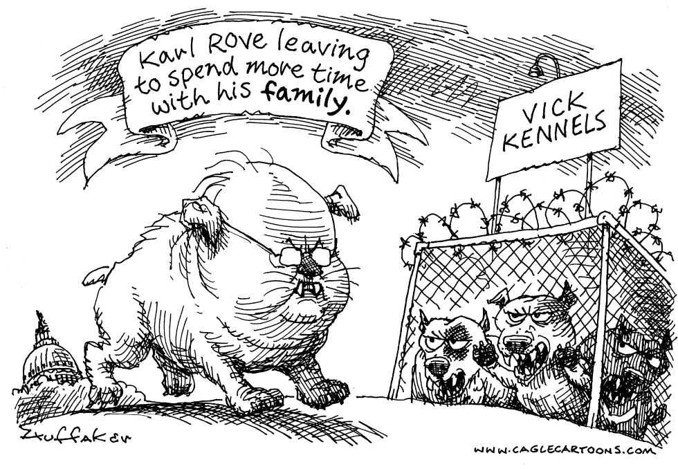 Karl Rove Leaves