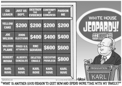 ROVE OUT OF JEOPARDY by R.J. Matson