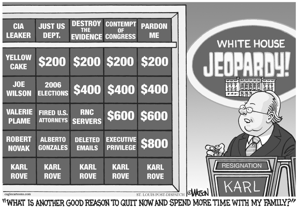  ROVE OUT OF JEOPARDY by RJ Matson