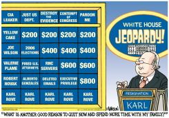 ROVE OUT OF JEOPARDY by R.J. Matson
